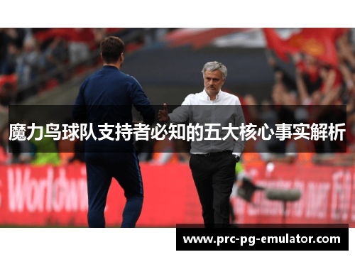 魔力鸟球队支持者必知的五大核心事实解析