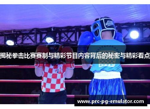 揭秘拳击比赛赛制与精彩节目内容背后的秘密与精彩看点